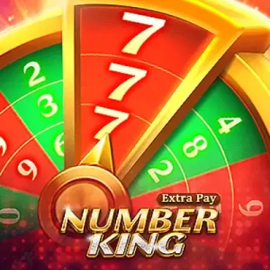 DU88 Number King