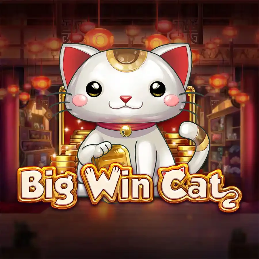 DU88 Big Win Cat